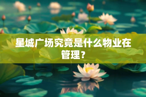 星城广场究竟是什么物业在管理？