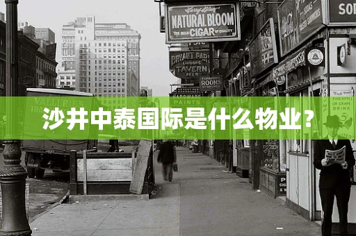 沙井中泰国际是什么物业？
