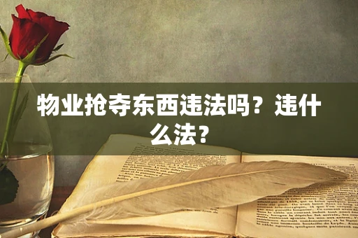 物业抢夺东西违法吗？违什么法？