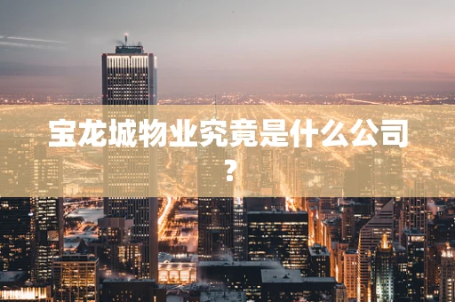 宝龙城物业究竟是什么公司？