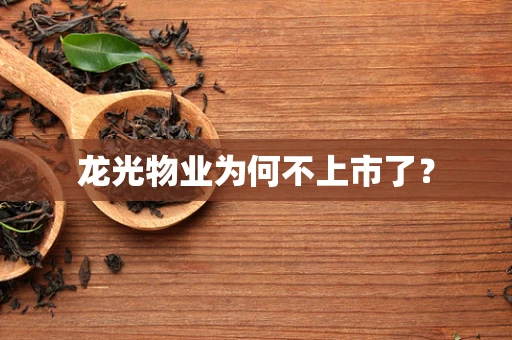 龙光物业为何不上市了？