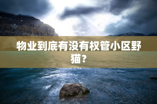 物业到底有没有权管小区野猫？