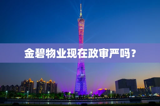 金碧物业现在政审严吗？