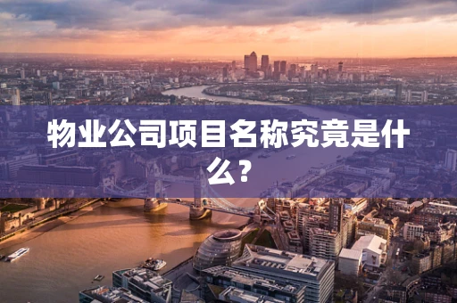 物业公司项目名称究竟是什么？