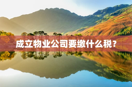 成立物业公司要缴什么税？