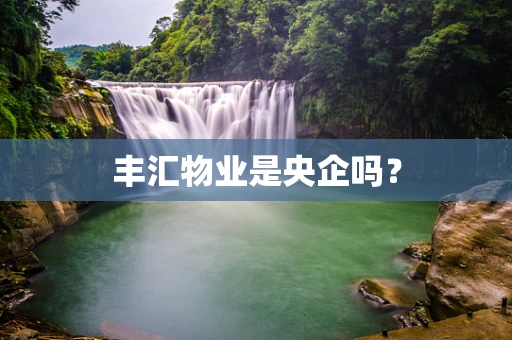 丰汇物业是央企吗？