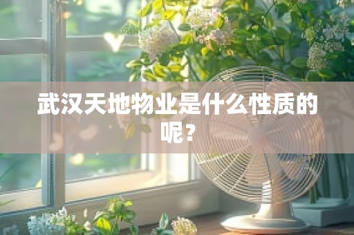 武汉天地物业是什么性质的呢？