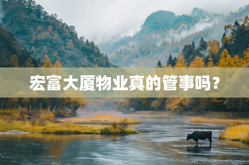 宏富大厦物业真的管事吗？