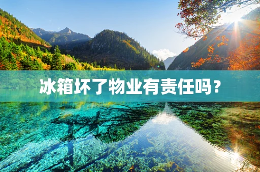 冰箱坏了物业有责任吗？