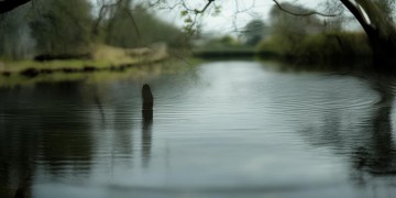 起诉物业公司会有什么影响？