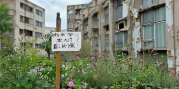 没住还得交物业费嘛？为什么？