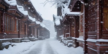 辽宁鞍山物业应该扫雪吗？