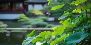 杭州物业最怕什么投诉？