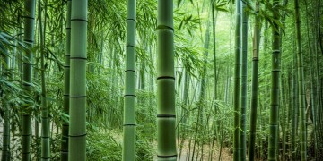 竹园里物业究竟可以做什么？
