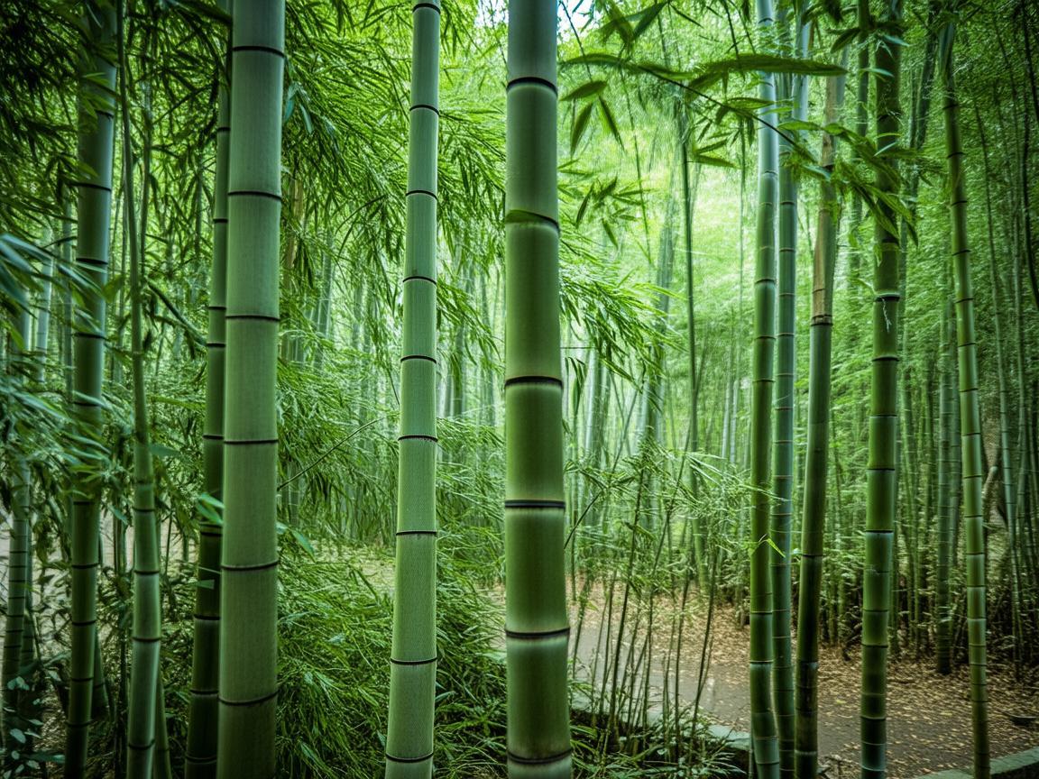 竹园里物业究竟可以做什么？